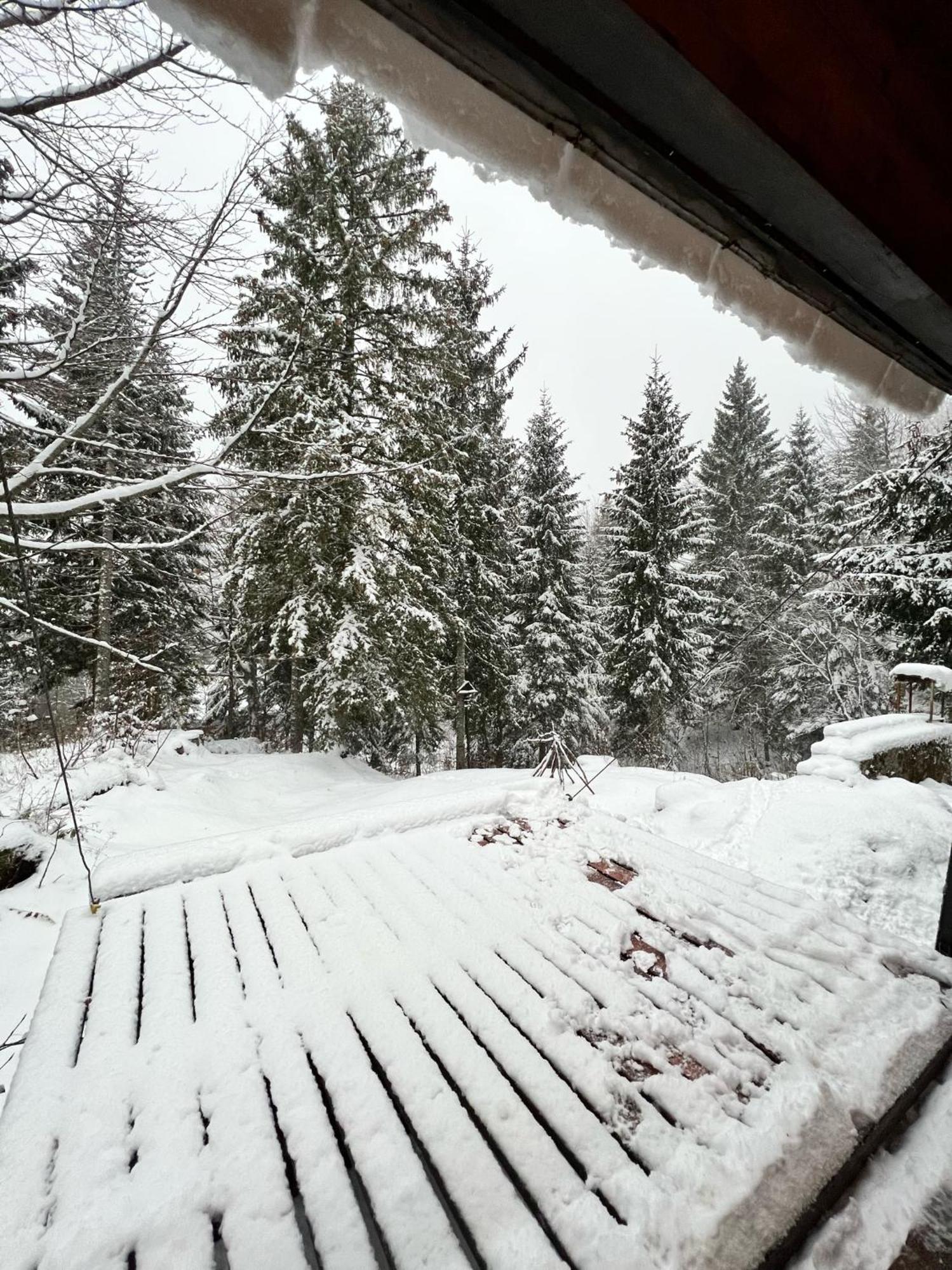 ~Chalet_Rifugio Tra I Boschi~ Sella Nevea Exterior foto