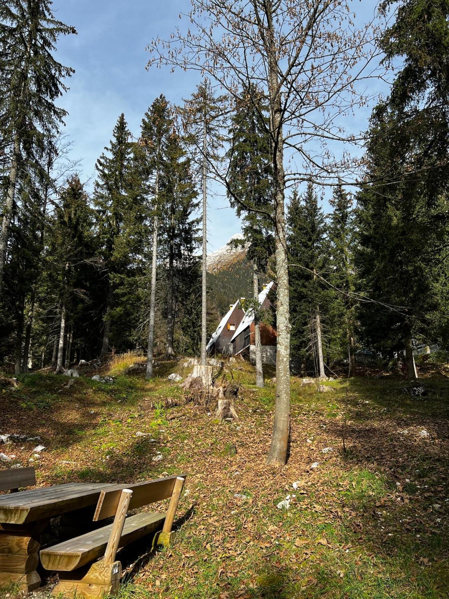 ~Chalet_Rifugio Tra I Boschi~ Sella Nevea Exterior foto